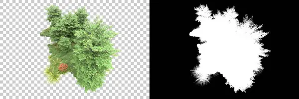 Alberi Isolati Sfondo Con Maschera Rendering Illustrazione — Foto Stock