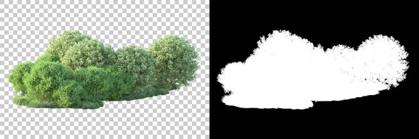 Arka Planda Maskeyle Izole Edilmiş Ağaçlar Görüntüleme Illüstrasyon — Stok fotoğraf