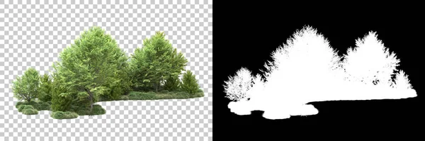 Træer Isoleret Baggrund Med Maske Rendering Illustration - Stock-foto