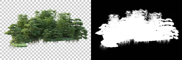 Деревья Изолированы Заднем Плане Маской Рендеринг Иллюстрация — стоковое фото