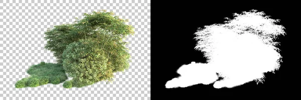 Drzewa Odizolowane Tle Maską Renderowanie Ilustracja — Zdjęcie stockowe