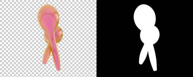 maracas enstrüman simgesi 3d illüstrasyon