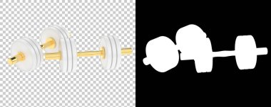 Spor malzemeleri. Salon dambıllarının 3 boyutlu çizimi