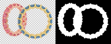 Dekoratif değerli mücevherlerin 3D çizimi