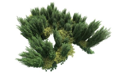 Beyaz arka planda yeşil çalılıklar izole edilmiş. 3d görüntüleme - illüstrasyon 