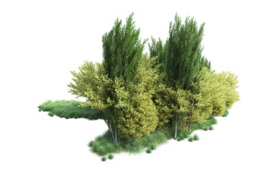 Beyaz arka planda yeşil çalılıklar izole edilmiş. 3d görüntüleme - illüstrasyon 