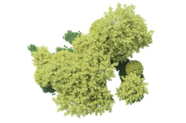 Beyaz arka planda yeşil çalılıklar izole edilmiş. 3d görüntüleme - illüstrasyon 