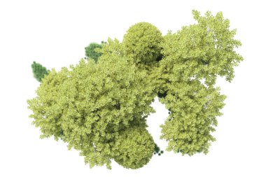 Beyaz arka planda yeşil çalılıklar izole edilmiş. 3d görüntüleme - illüstrasyon 