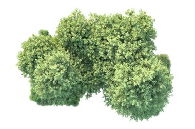 Arka planda yeşil çalılıklar izole edilmiş. 3d görüntüleme - illüstrasyon 