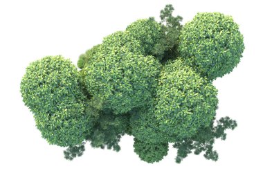 Arka planda yeşil çalılıklar izole edilmiş. 3d görüntüleme - illüstrasyon 
