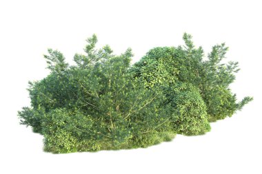 Arka planda yeşil çalılıklar izole edilmiş. 3d görüntüleme - illüstrasyon 