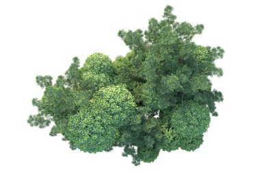 Arka planda yeşil çalılıklar izole edilmiş. 3d görüntüleme - illüstrasyon 