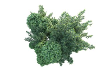 Arka planda yeşil çalılıklar izole edilmiş. 3d görüntüleme - illüstrasyon 