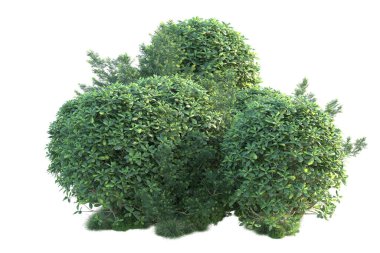 Arka planda yeşil çalılıklar izole edilmiş. 3d görüntüleme - illüstrasyon 