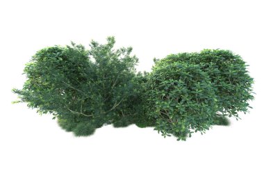 Green bushes isolated on background. 3d rendering - illustration  clipart