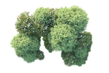 Arka planda yeşil çalılıklar izole edilmiş. 3d görüntüleme - illüstrasyon 