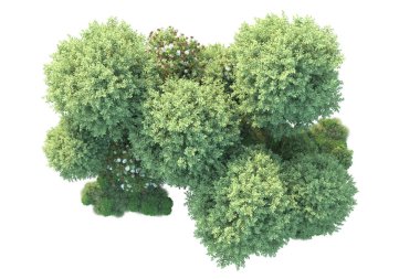 Arka planda yeşil çalılıklar izole edilmiş. 3d görüntüleme - illüstrasyon 