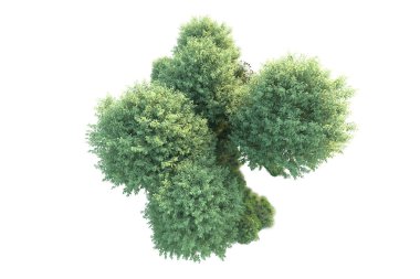 Arka planda yeşil çalılıklar izole edilmiş. 3d görüntüleme - illüstrasyon 