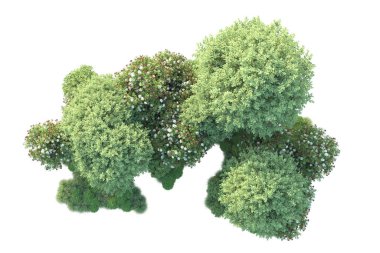 Arka planda yeşil çalılıklar izole edilmiş. 3d görüntüleme - illüstrasyon 
