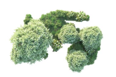Beyaz arka planda yeşil çalılıklar izole edilmiş. 3d görüntüleme - illüstrasyon 