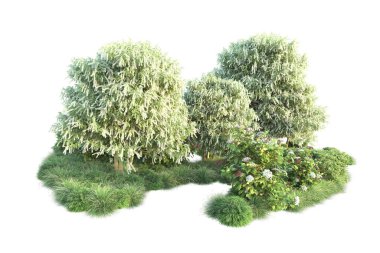 Beyaz arka planda yeşil çalılıklar izole edilmiş. 3d görüntüleme - illüstrasyon 