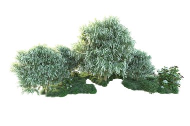 Beyaz arka planda yeşil çalılıklar izole edilmiş. 3d görüntüleme - illüstrasyon 