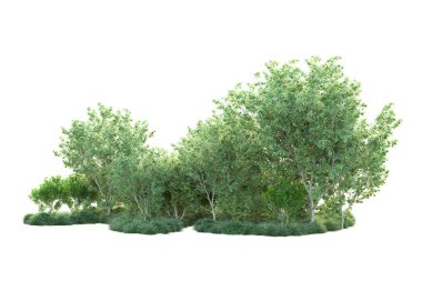 Beyaz arka planda yeşil çalılıklar izole edilmiş. 3d görüntüleme - illüstrasyon 