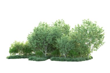 Beyaz arka planda yeşil çalılıklar izole edilmiş. 3d görüntüleme - illüstrasyon 