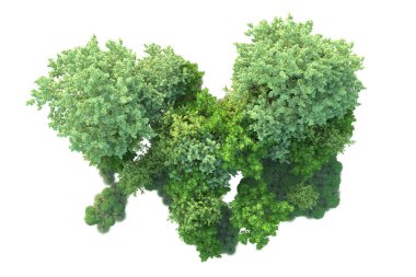 Beyaz arka planda yeşil çalılıklar izole edilmiş. 3d görüntüleme - illüstrasyon 