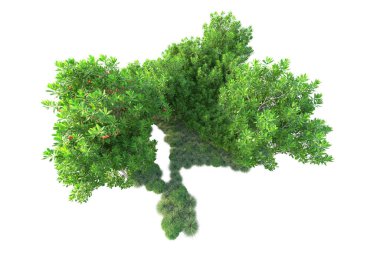 Beyaz arka planda yeşil çalılıklar izole edilmiş. 3d görüntüleme - illüstrasyon 