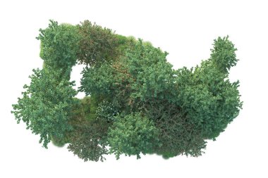 Beyaz arka planda yeşil çalılıklar izole edilmiş. 3d görüntüleme - illüstrasyon 