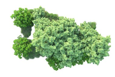Beyaz arka planda yeşil çalılıklar izole edilmiş. Orman bitkilerinin 3D canlandırması