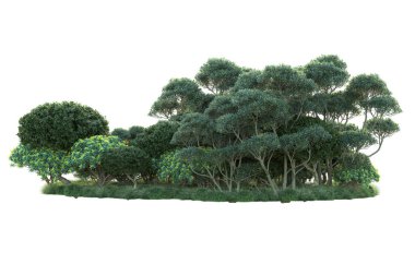 Beyaz arka planda yeşil çalılıklar izole edilmiş. 3d görüntüleme - illüstrasyon 