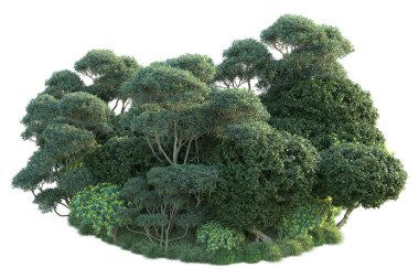 Beyaz arka planda yeşil çalılıklar izole edilmiş. Orman bitkilerinin 3D canlandırması