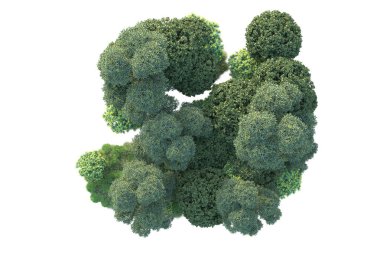 Beyaz arka planda yeşil çalılıklar izole edilmiş. Orman bitkilerinin 3D canlandırması