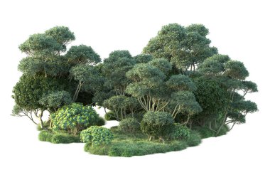 Beyaz arka planda yeşil çalılıklar izole edilmiş. Orman bitkilerinin 3D canlandırması