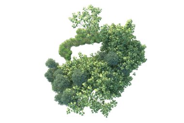 Beyaz arka planda yeşil çalılıklar izole edilmiş. Orman bitkilerinin 3D canlandırması