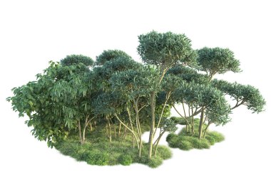 Beyaz arka planda yeşil çalılıklar izole edilmiş. Orman bitkilerinin 3D canlandırması