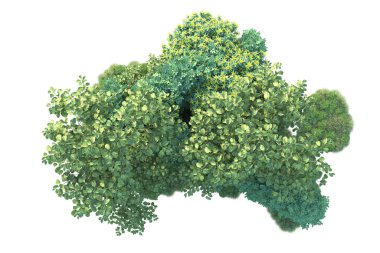 Beyaz arka planda yeşil çalılıklar izole edilmiş. Orman bitkilerinin 3D canlandırması