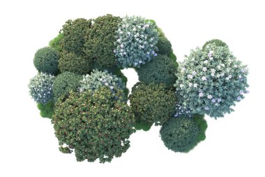 Beyaz arka planda yeşil çalılıklar izole edilmiş. Orman bitkilerinin 3D canlandırması