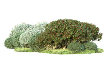 Beyaz arka planda yeşil çalılıklar izole edilmiş. Orman bitkilerinin 3D canlandırması