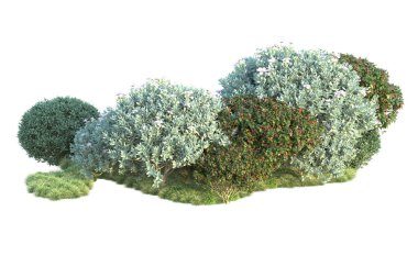 Beyaz arka planda yeşil çalılıklar izole edilmiş. Orman bitkilerinin 3D canlandırması