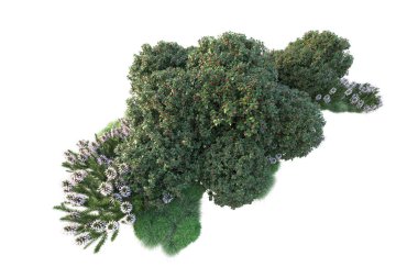 Beyaz arka planda yeşil çalılıklar izole edilmiş. Orman bitkilerinin 3D canlandırması