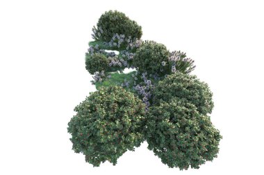 Beyaz arka planda yeşil çalılıklar izole edilmiş. Orman bitkilerinin 3D canlandırması