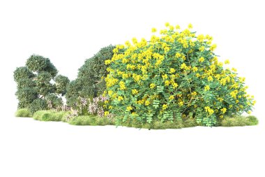 Beyaz arka planda yeşil çalılıklar izole edilmiş. Orman bitkilerinin 3D canlandırması