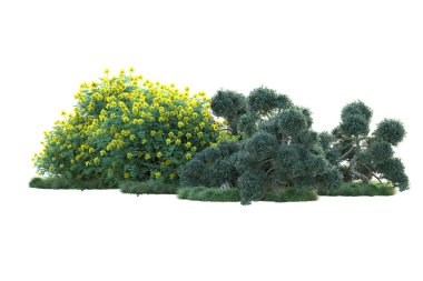 Beyaz arka planda yeşil çalılıklar izole edilmiş. Orman bitkilerinin 3D canlandırması