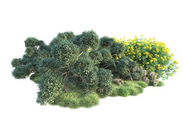 Beyaz arka planda yeşil çalılıklar izole edilmiş. Orman bitkilerinin 3D canlandırması