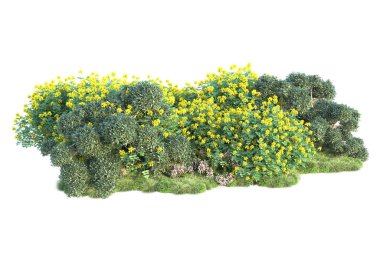 Beyaz arka planda yeşil çalılıklar izole edilmiş. Orman bitkilerinin 3D canlandırması