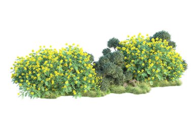 Beyaz arka planda yeşil çalılıklar izole edilmiş. Orman bitkilerinin 3D canlandırması