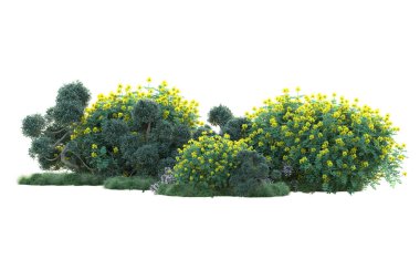 Beyaz arka planda yeşil çalılıklar izole edilmiş. Orman bitkilerinin 3D canlandırması